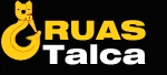 Grúas Talca